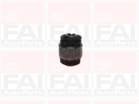 Mounting, control/trailing arm